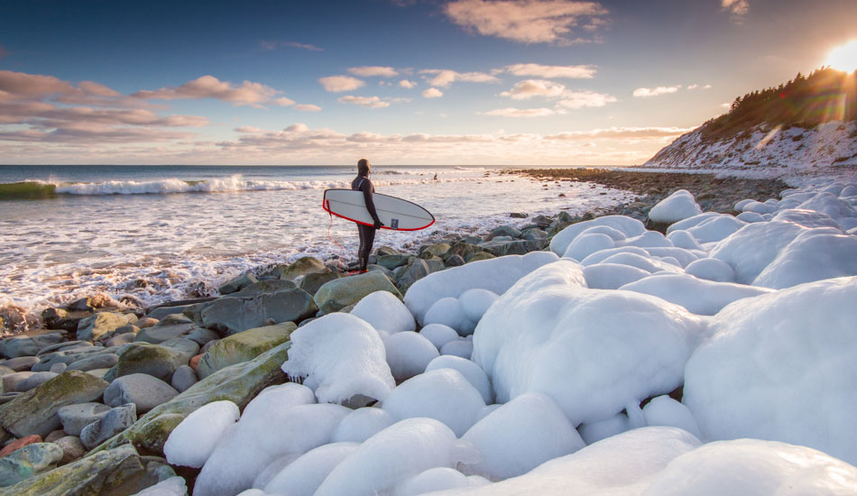 Sugar coated. Photo: <a href=\"http://www.acornart.net\">Adam Cornick</a>