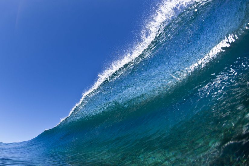 Mwah. Kissed by the lip. Photo: <a href=\"http://adamduffyphotography.com/\">Adam Duffy.</a>