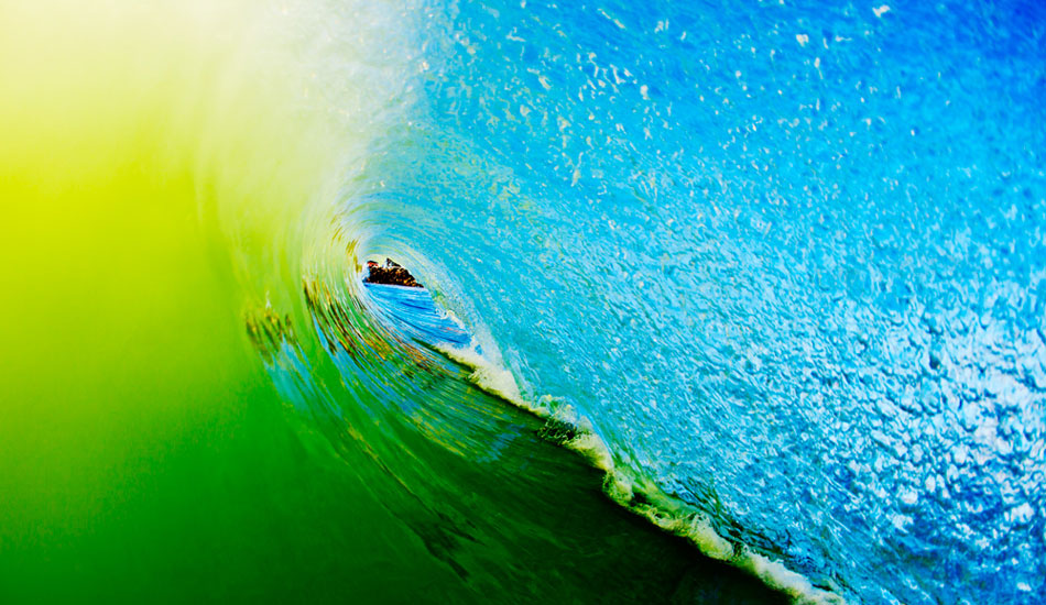 Mellow Yellow. Photo: <a href=\"http://adamduffyphotography.com/\">Adam Duffy.</a>