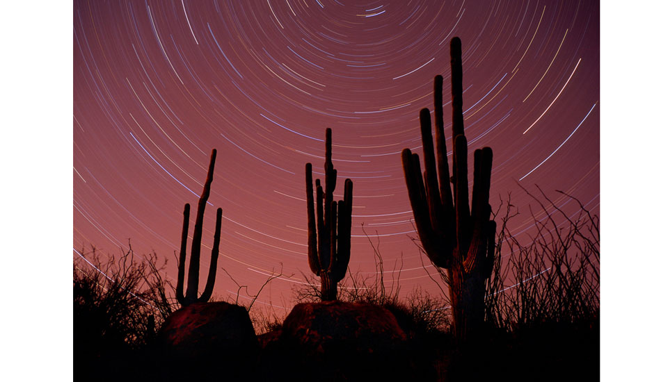 Stars leaving trails. Photo: <a href=\"http://www.adamwarmington.com/\">Adam Warmington.</a>