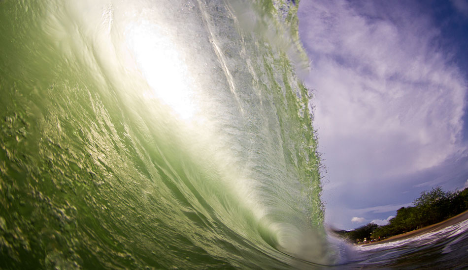 Empty barrels. Photo: <a href=\"http://www.adamwarmington.com/\">Adam Warmington.</a>