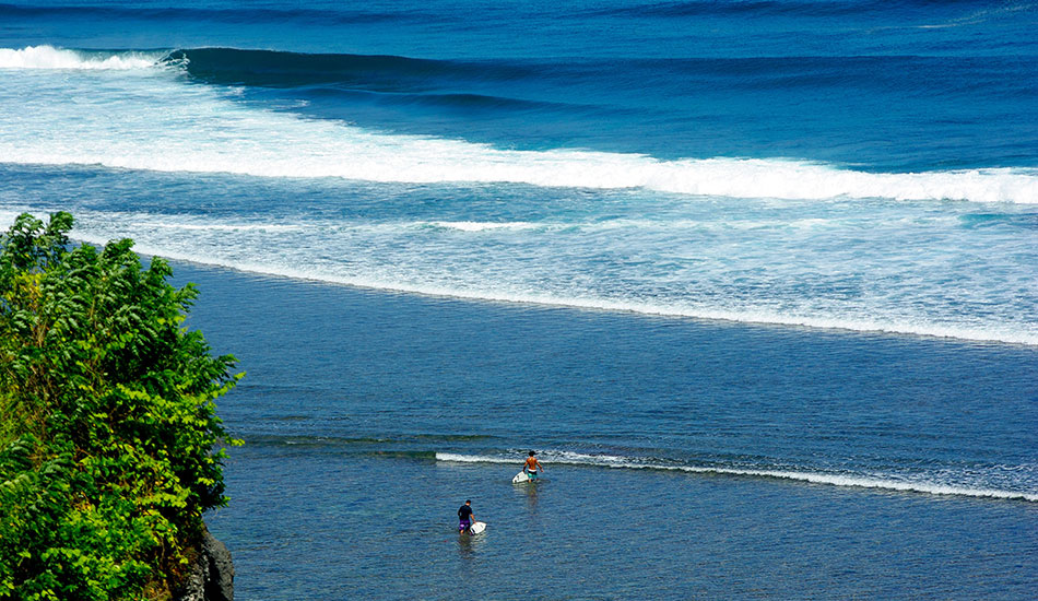 Reef. Photo: <a href=\"http://www.alohasurfjournal.com\">Aloha Surf Journal</a>