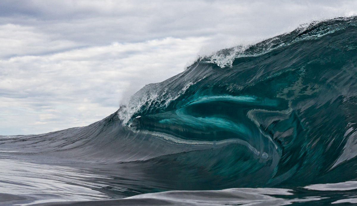 Thick lip. Photo: <a href=\"http://portfolio566867.4ormat.com/\" target=_blank>Andrew Carruthers</a>