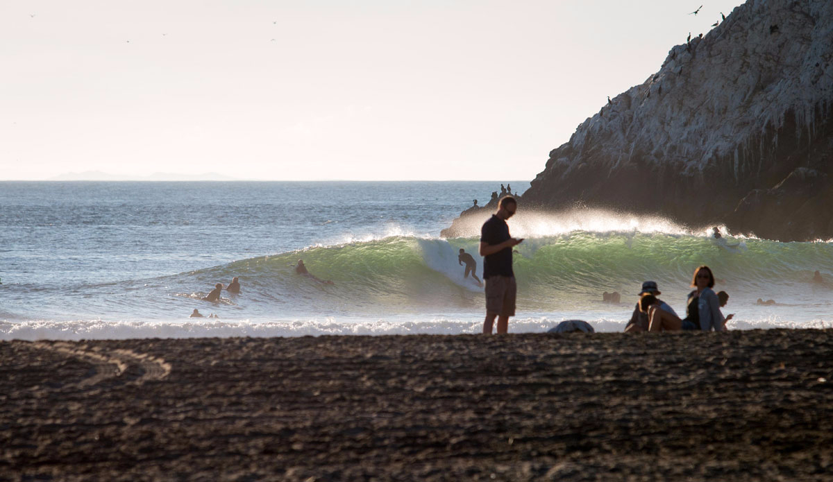 Inside Peanut Gallery enjoying the sun. Photo: <a href=\"https://instagram.com/snapsbyaragon/\">Alex Aragon</a>