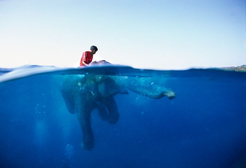 1997. Elephant Boy. Child on an elephant swimming. Photo: <a href=\"http://www.artbrewer.com\" target=_blank>Art Brewer</a>