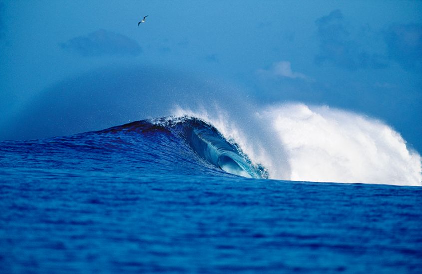 1995. Moorea Bay. Perfect wave. Photo: <a href=\"http://www.artbrewer.com\" target=_blank>Art Brewer</a>