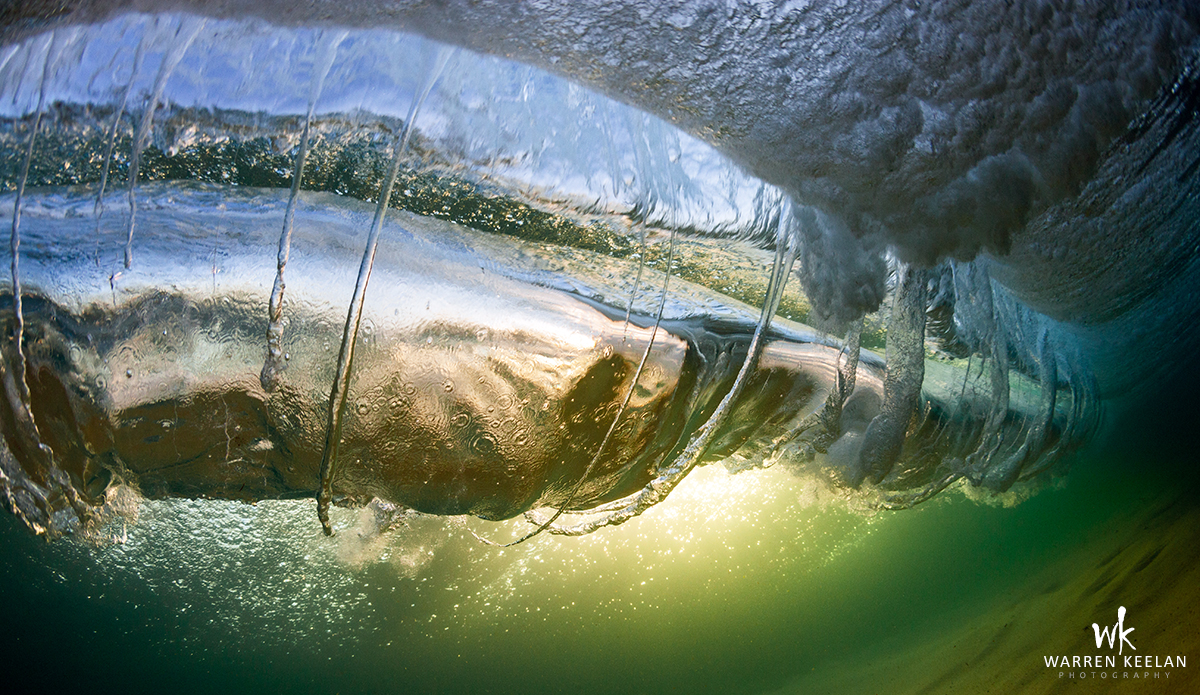 Whale Spin Photo: <a href=\"http://www.warrenkeelanphotography.com.au/\">Warren Keelan</a>