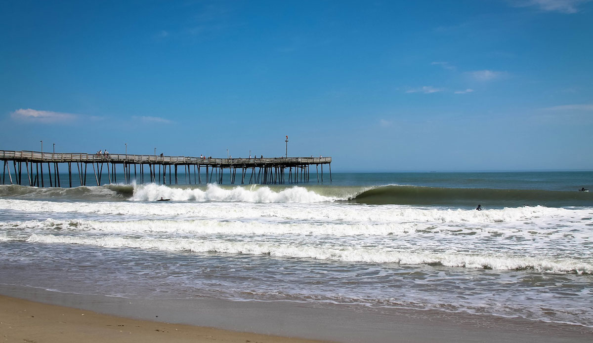 The infamous lineup working in fine form. Photo: John Streit