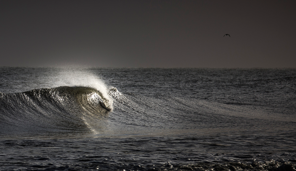 Baltic and its little treasures. Photo: <a href=\"https://www.facebook.com/balticsurfscapes\" target=\"_blank\">Facebook</a>