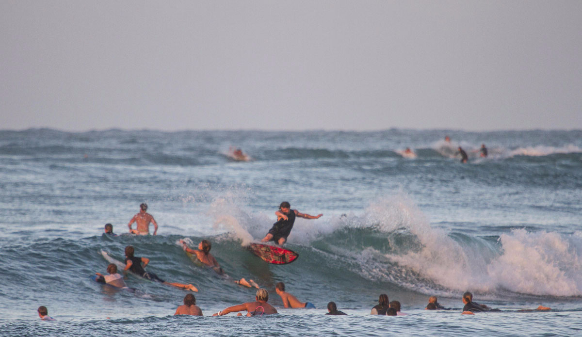 Jai Lee, head and shoulders above the crowd. Photo: <a href=\"http://www.narrowpathmedia.com.au/#1\"> Andrew Carruthers</a>