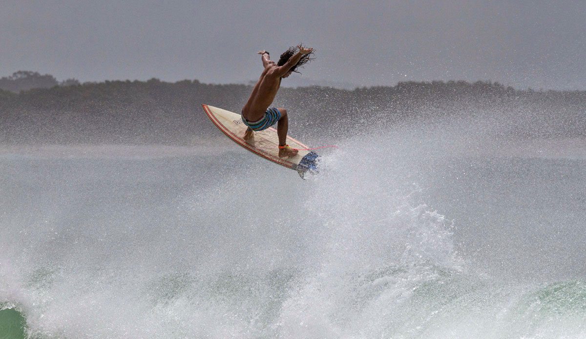 Looking to land. Photo: <a href=\"http://www.narrowpathmedia.com.au/#1\"> Andrew Carruthers</a>