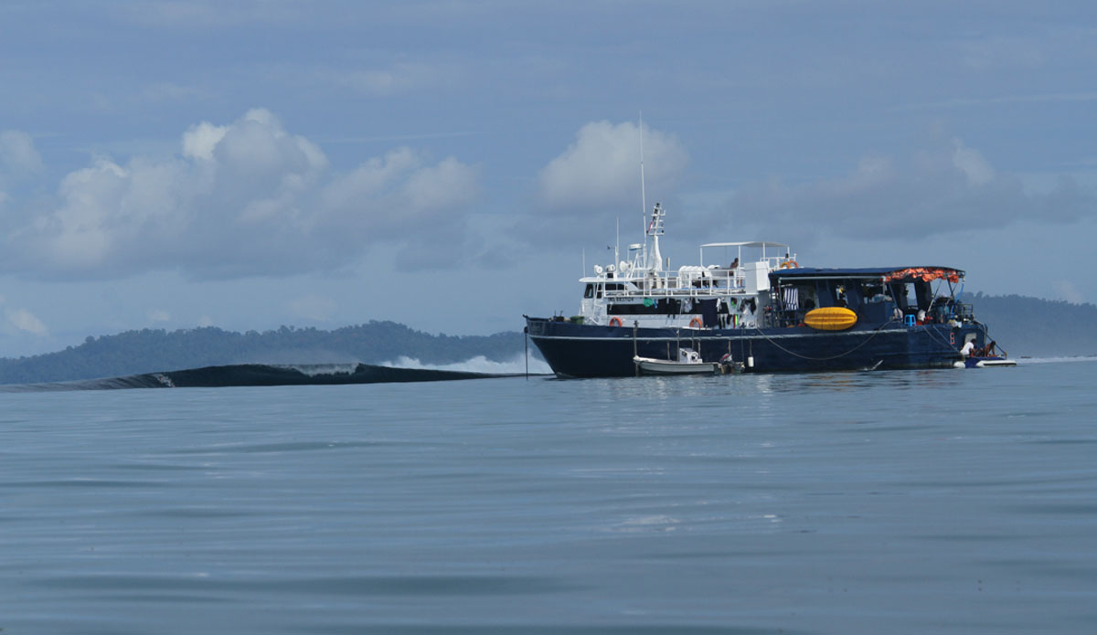 A pulled back view of the bay. Photo: <a href=\"http://www.benbireau.com\"> Ben Bireau</a>