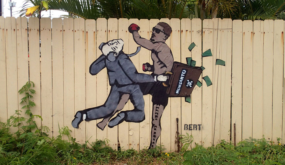 Barca Knocks Out Monsanto. Kauai, HI
July 2013Art: <a href=\"http://bertslideart.wordpress.com/\">BERT</a>