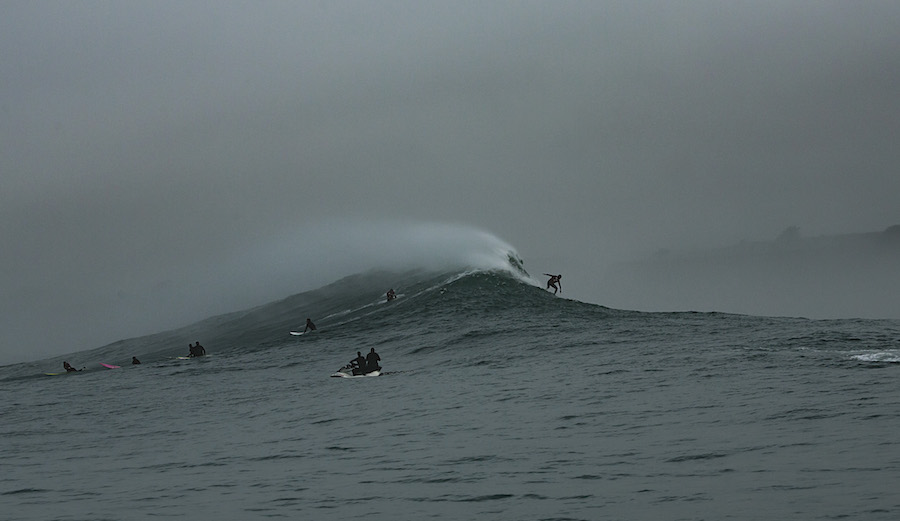 Mavs. Photo: Gauthier Richard