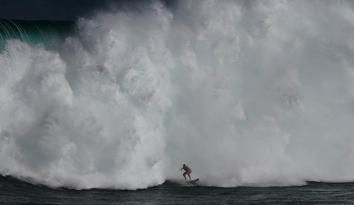 Aaron Gold, Jaws. Photo: Aaron Lynton //
@aaronlynton