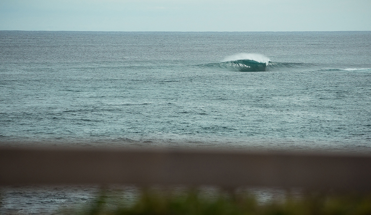 West Oz. Wow. Photo: Tom Pearsall