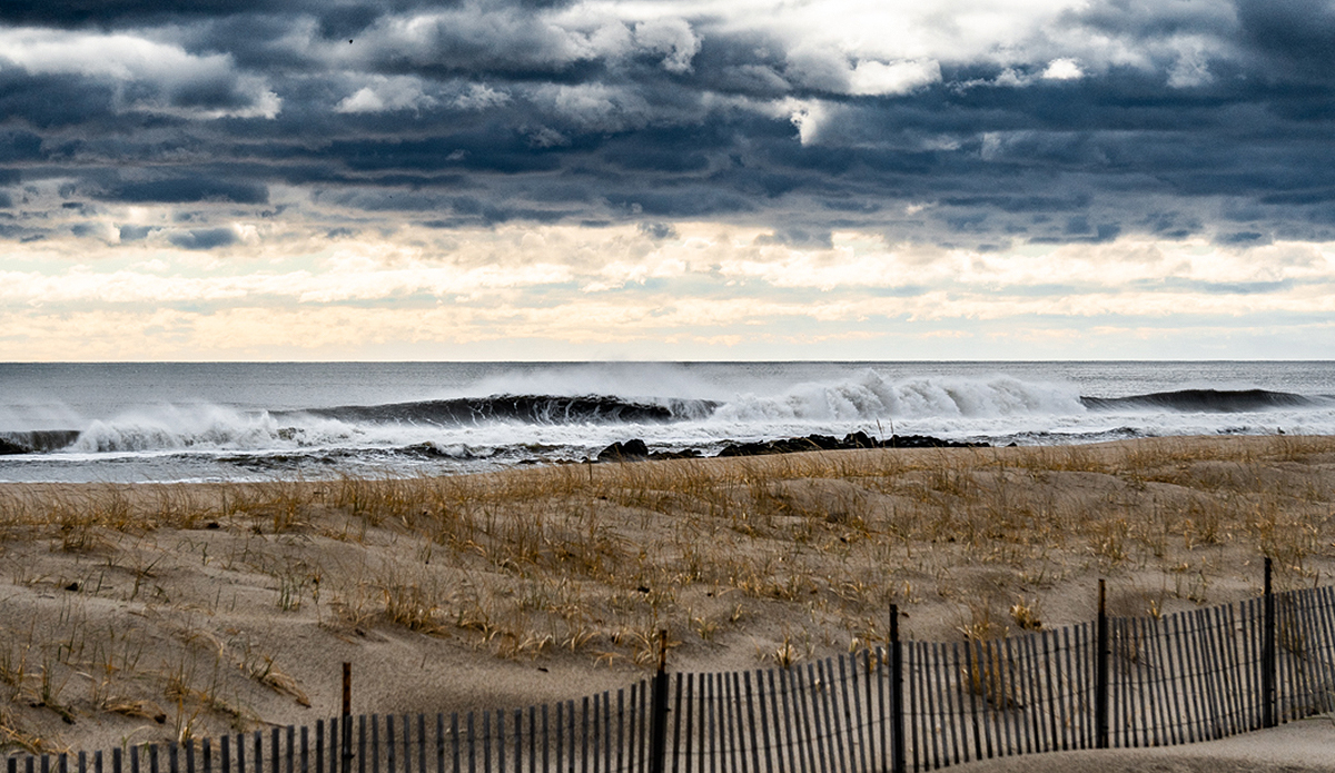 No takers in Jersey. Photo: @timlangphotos