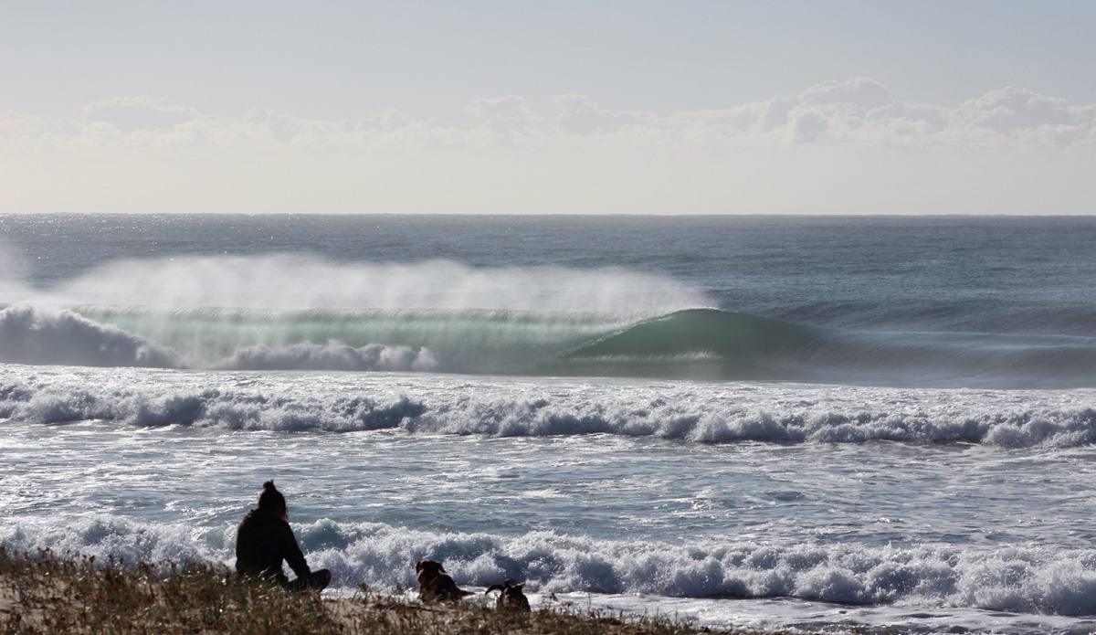 The Perfect View. A man and his dog watch on as a cold winter\'s empty lines roll on through close to home. Photo: <a href=\"http://rickycavarra.com\">Ricky Cavarra</a>