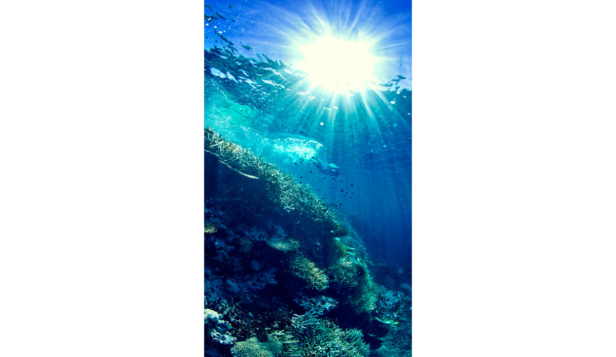 Free diving at high noon along one of the endless reefs Fiji offers. Photo: <a href=\"http://www.bobridges.com/\">Bo Bridges</a>