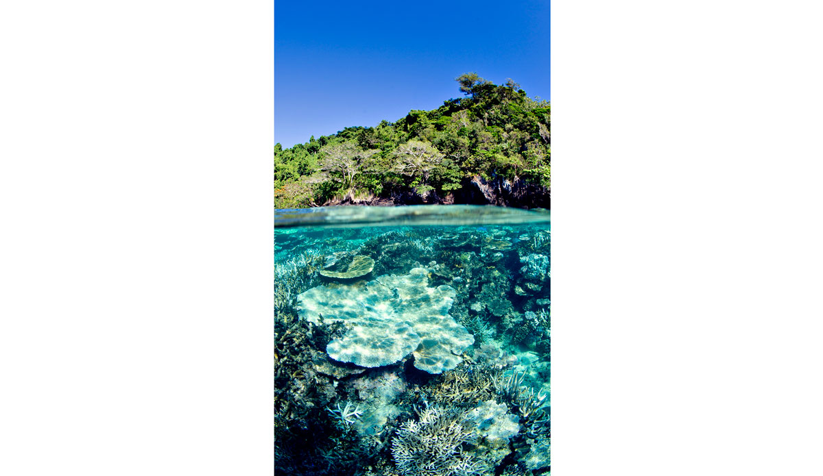 Over Under.  Some of the reefs grow right up to the edge of the islands.  The water is always crystal clear.  This was shot close to the same island that Brooke Shields filmed The Blue Lagoon Photo: <a href=\"http://www.bobridges.com/\">Bo Bridges</a>