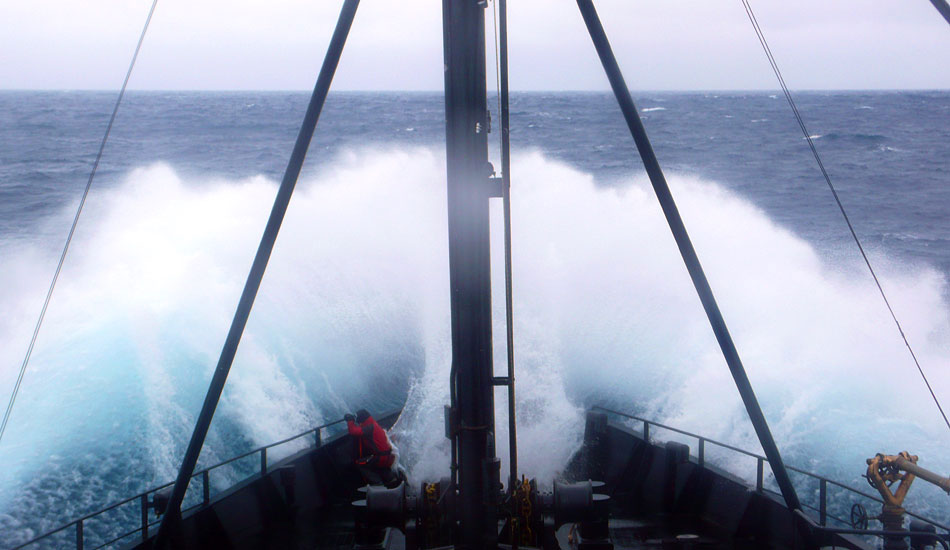 Ship\'s photographer Barbara Veiga on the bow of the Steve Irwin. 