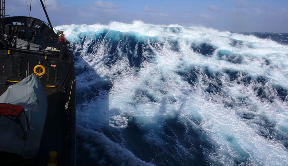 Surfers for Cetaceans A Journey through Photos The Inertia