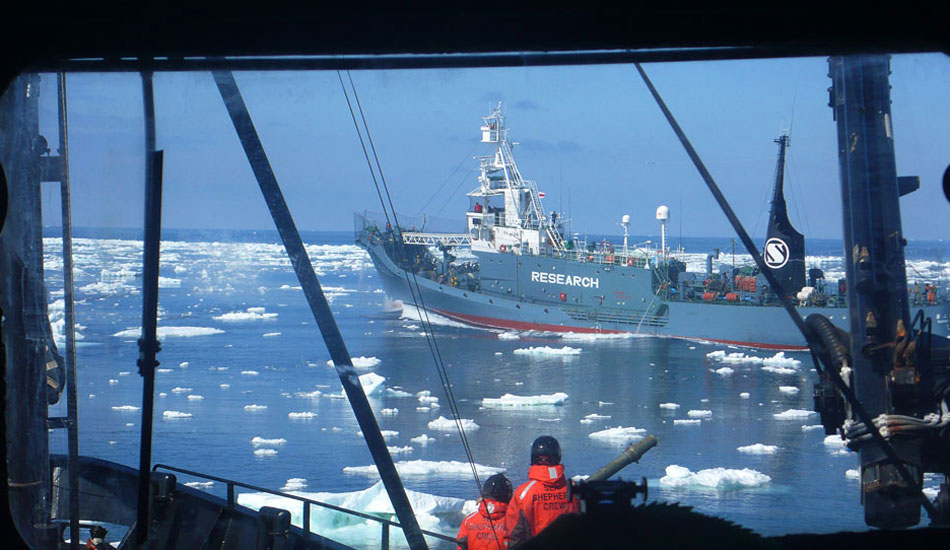 Yushin Maru harpoon ship being chased by Sea Shepherd fleet, Jan 1st 2011