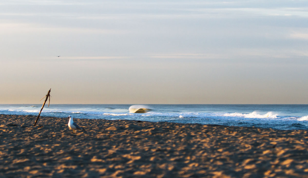 Just when you think there isn\'t any surf, you drive two miles up the coast from one spot and find this gem.  Safe to say it was a rewarding morning.   Photo: <a href=\"http://www.kincaidcliffordphotography.com/\"> Brian Clifford</a>