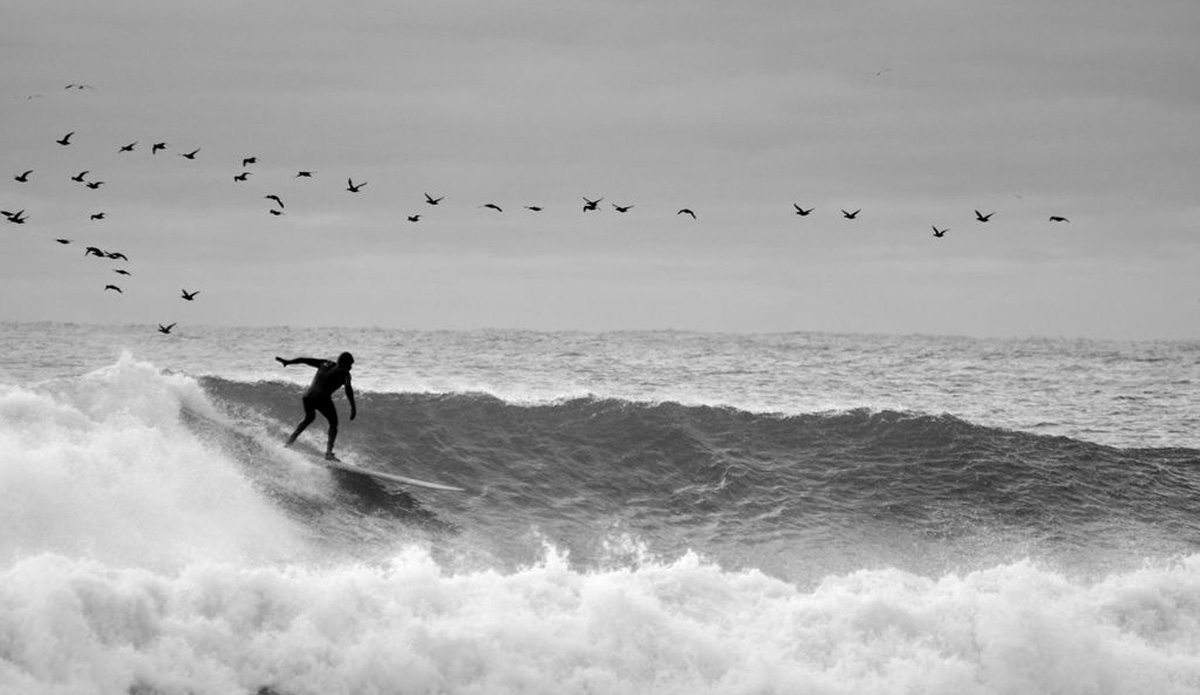 Not just for the birds. Montauk, NY. Photo: <a href=\"http://cargocollective.com/brigidlallyphotography\">Brigid Lally</a>