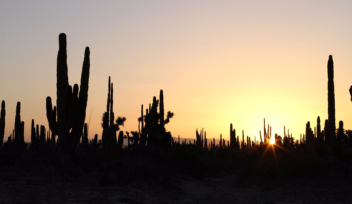 Sundown over Baja. Photo: <a href=\"http://www.tylerbrundage.com/\" target=\"_blank\">Tyler Brundage</a>