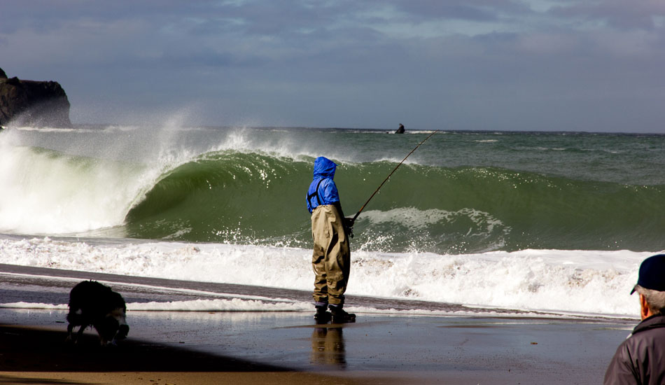 Apparently, there were bigger fish to fry. Not by much. Photo: Matt O\'Brien