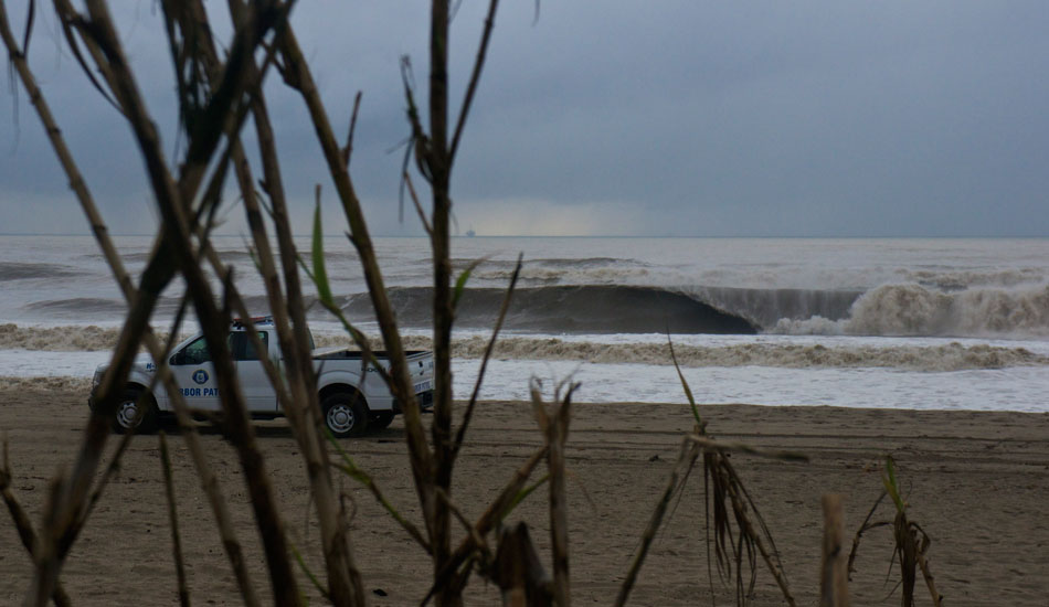 Mutant right. Photo: Dryden Brown