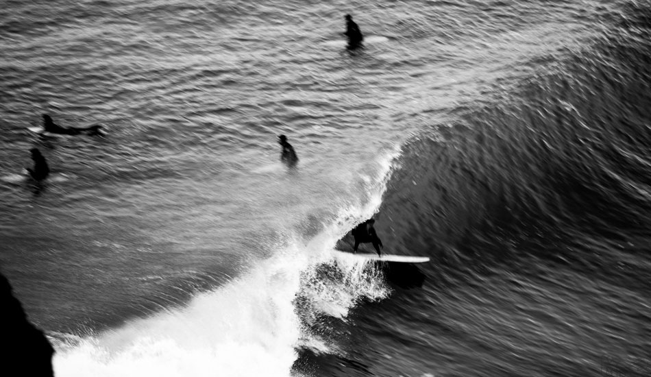 Black and white barrel hunting. Photo: Matt O\'Brien