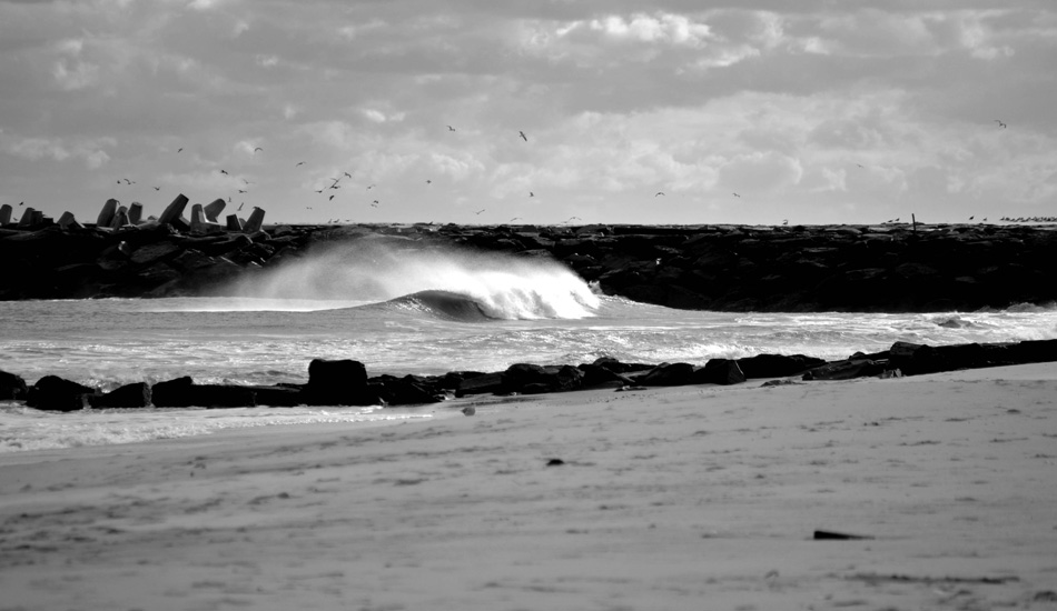 A nugget hugging the inlet on a cold, windy December day. Photo: Chris Centrella