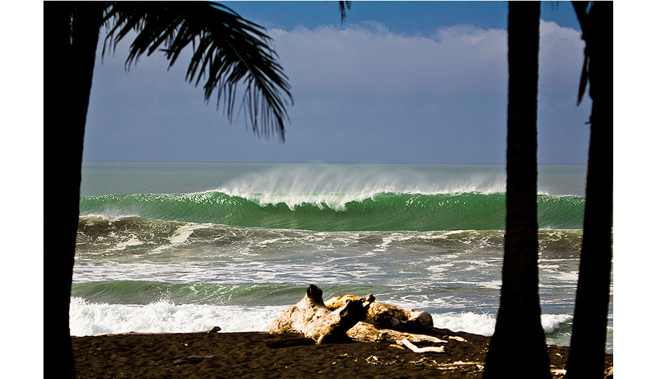 Hermosa Palms: 2012 Costa Rica. You know the saying, \"Save the best for last?\" This was definitely the case on our last day. Photo: <a href=\"http://www.chrisfrickphotography.com/\" target=_blank>Chris Frick</a>.