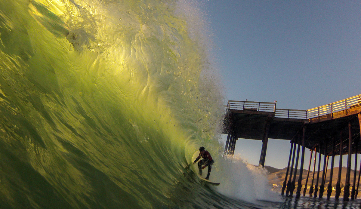 Tucking in on a glowing gem. Photo: <a href=\"http://www.colinrothphoto.com\">Colin Roth</a>