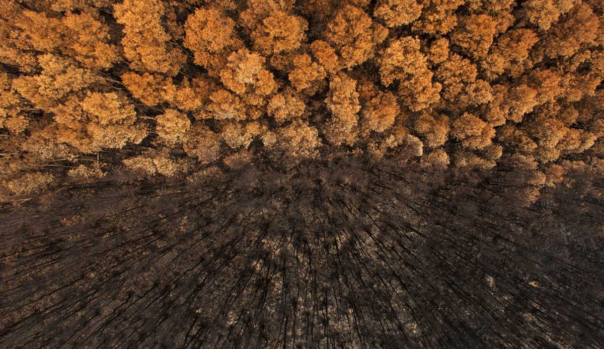 Just before New Years in 2013, Lennox Head had a massive bushfire. I didn\'t know what to expect from my aerials other than destruction of the scrub land.
In the distance, I could see this surreal composition. At first, I captured it at 45 degrees then looking straight over the top of the area, I noticed this amazing contrast. This image is currently a finalist at the Natural History Museum\'s Wildlife Photographer of the Year competition in London under \"Nature\'s Environments.\" Photo: <a href=\"http://craigparryphotography.com/\">Craig Parry</a>