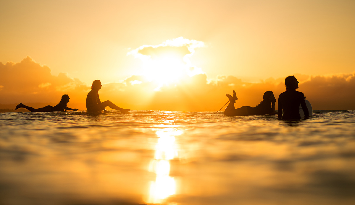 This image has inspired me to get my 85mm lens in the water more often! Photo: <a href=\"http://craigparryphotography.com/\">Craig Parry</a>