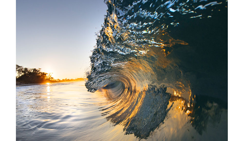 Satin gold, Byron Bay. Photo: <a href=\"http://www.craigparry.com.au\">Craig Parry</a>