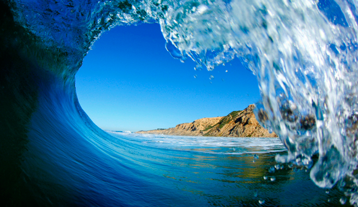 California Blues. Photo: <a href=\"http://www.danegrady.com/#s=0&mi=1&pt=0&pi=1&p=-1&a=0&at=0\"> Dane Grady</a>