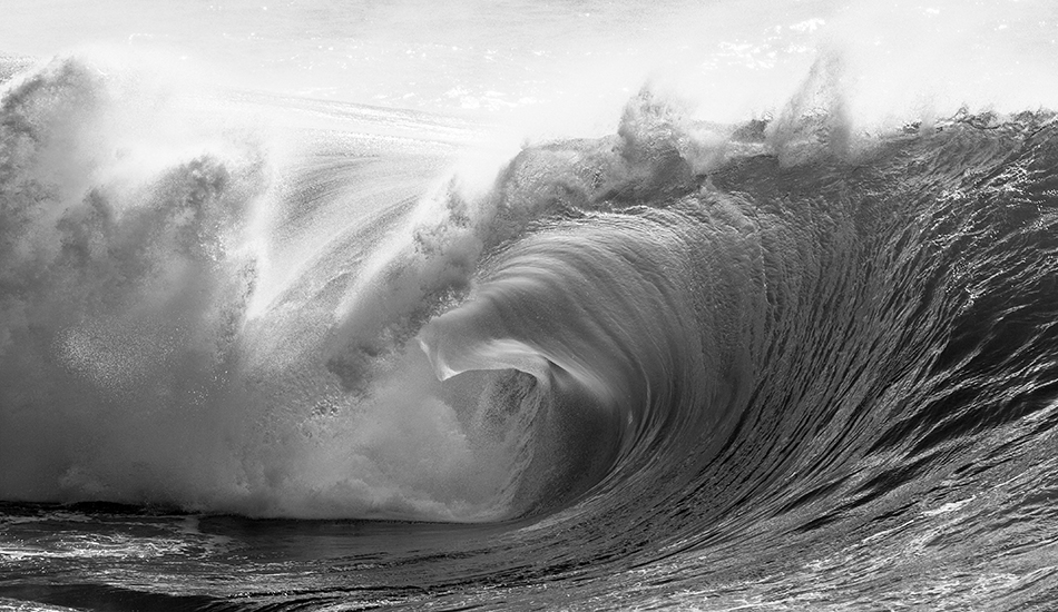 Silver Surge. Photo: <a href=\"http://www.warrenkeelanphotography.com.au/\" target=_blank>Warren Keelan</a>.