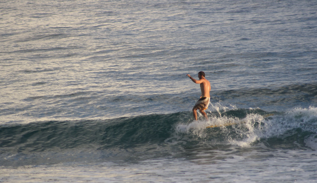 Logging in the D.R. Photo: <a href=\"http://www.waterwaystravel.com/\">  Waterways</a>