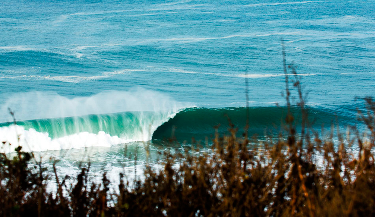 Empty, hollow northern California. Photo: <a href=\"http://www.mobphotoz.com\">Matt O\'Brien</a>