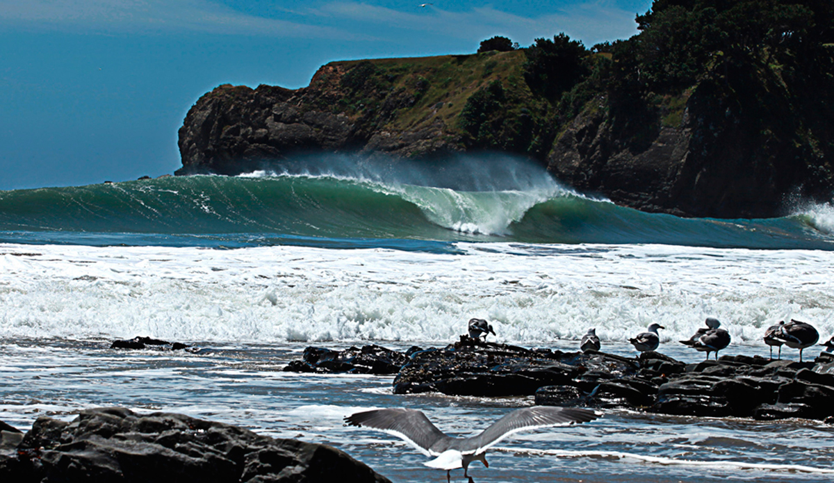 The coast of Sonoma, Sonoma is the most raw coast in California, rocky deep water that is most often windswept and cold, but every dog has its day. I\'ve only scored good waves there a few times, I though this trip was going to be another failed mission, until I pulled into this little cove and found this. Image: <a href=\"http://www.paulferraris.com/\" target=\"_blank\">Ferraris</a>