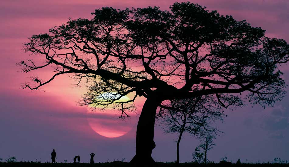 Dancing under one of the most amazing trees I have ever seen in beautiful Nicaragua. Photo: <a href=\"http://www.gaz-art.com/\">Gary Parker</a>