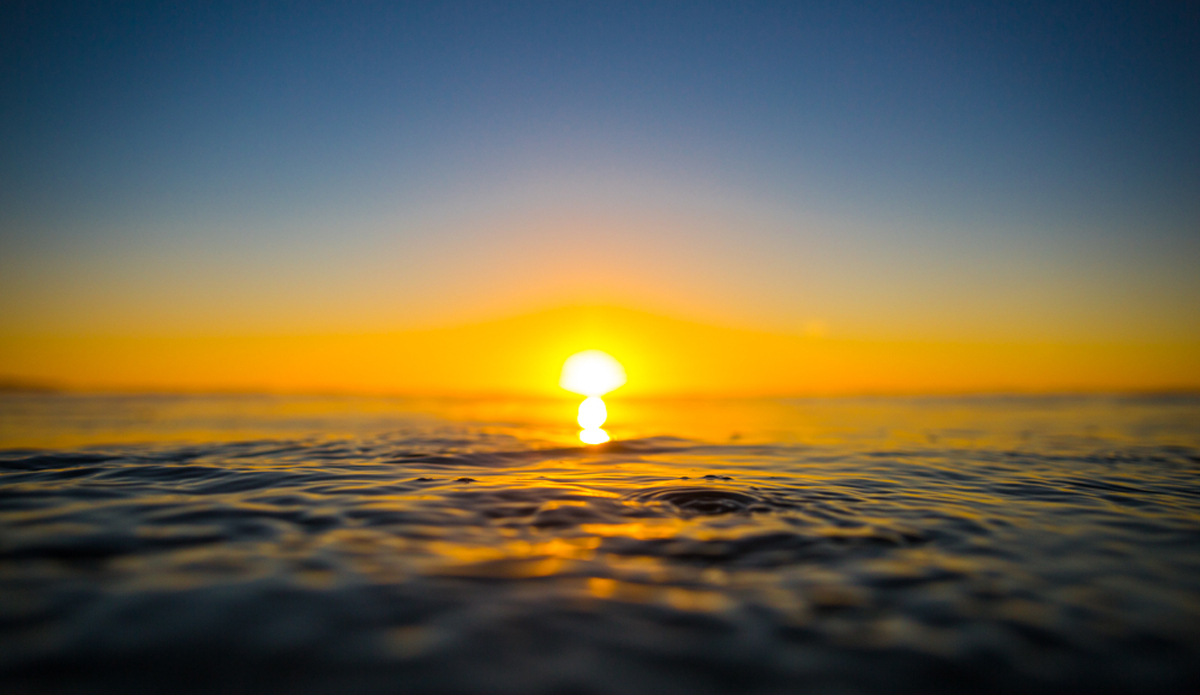 Focus. I lay flat on the water to get as close to the surface as possible to get a shot like this.