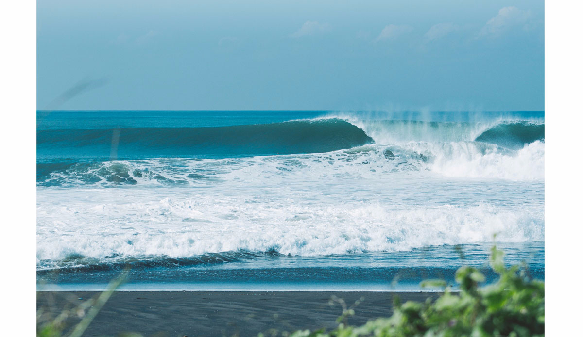 Days like this are what make life great. Photo:<a href=\"http://www.haydenoneillphoto.com/\">Hayden O\'Neill</a>