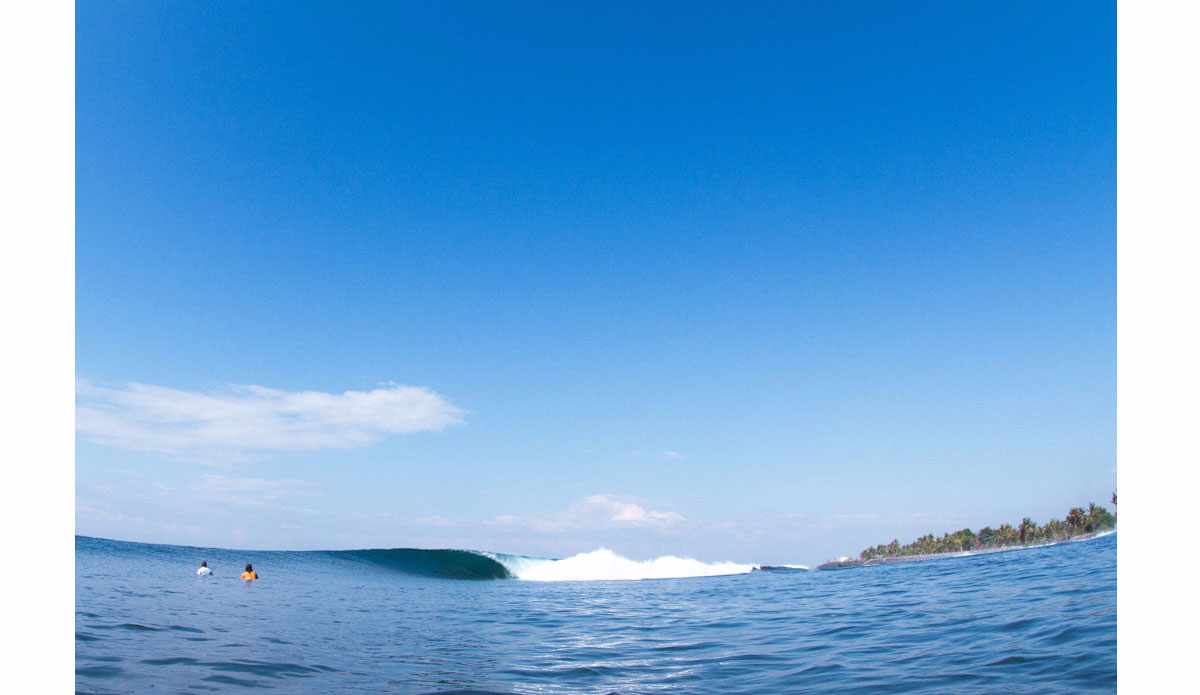 Two\'s not a crowd. Photo:<a href=\"http://www.haydenoneillphoto.com/\">Hayden O\'Neill</a>