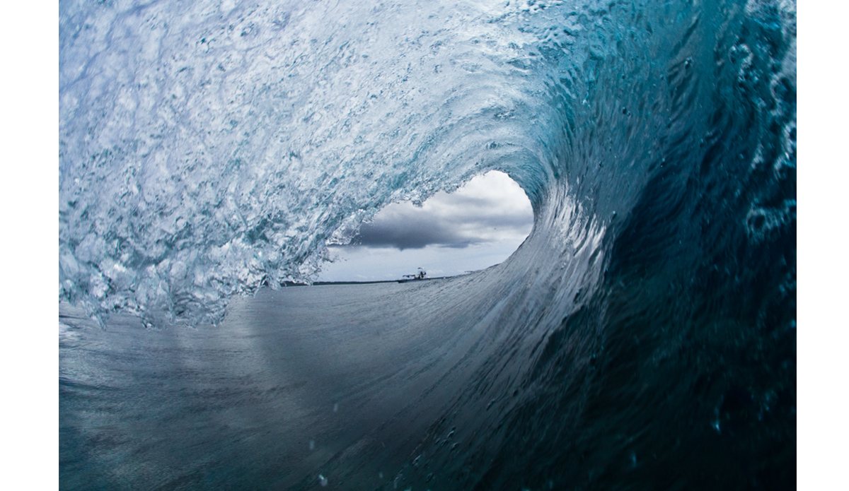 Photo: <a href=\"http://haydenoneillphoto.com/\">Hayden O\'Neill</a>