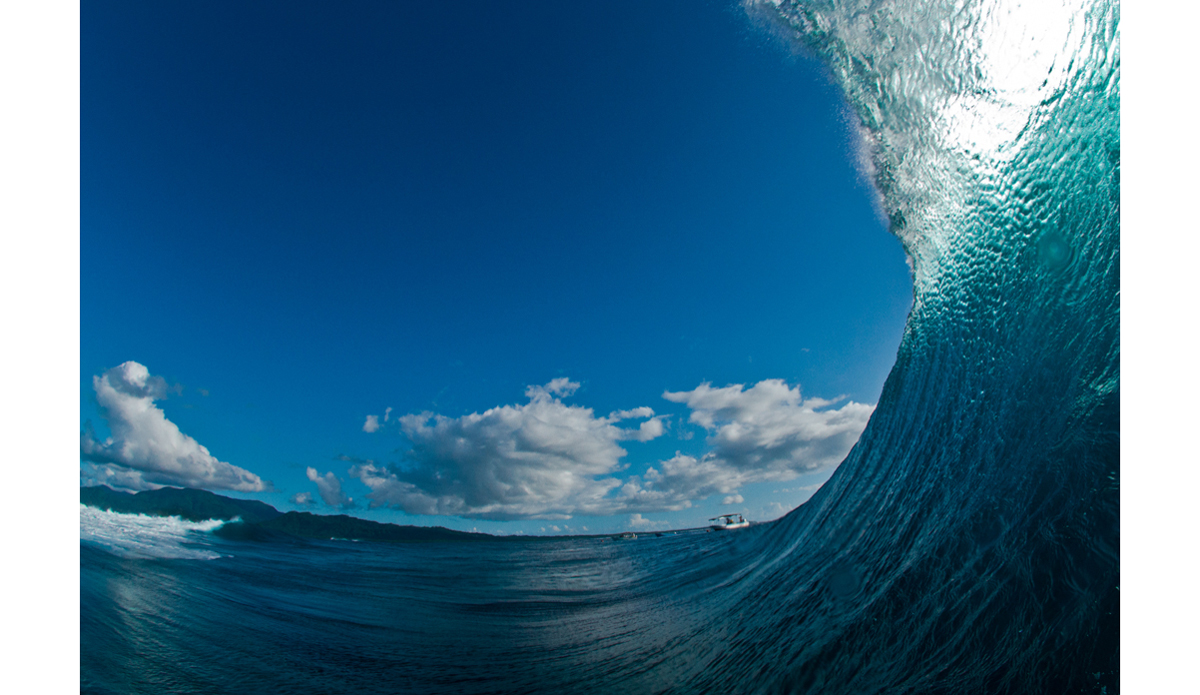 Photo: <a href=\"http://haydenoneillphoto.com/\">Hayden O\'Neill</a>